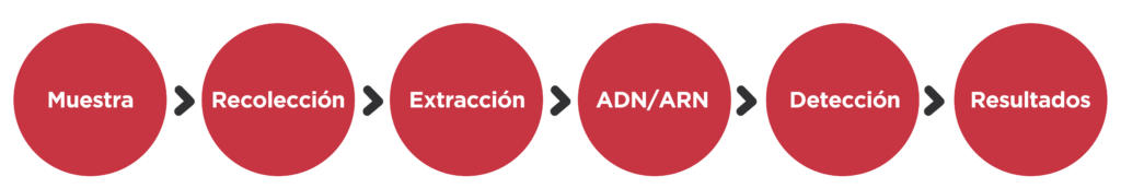 Flujo de trabajo Invitek