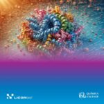 Potencia y Precisión en Western Blotting con la Tecnología de LI-COR